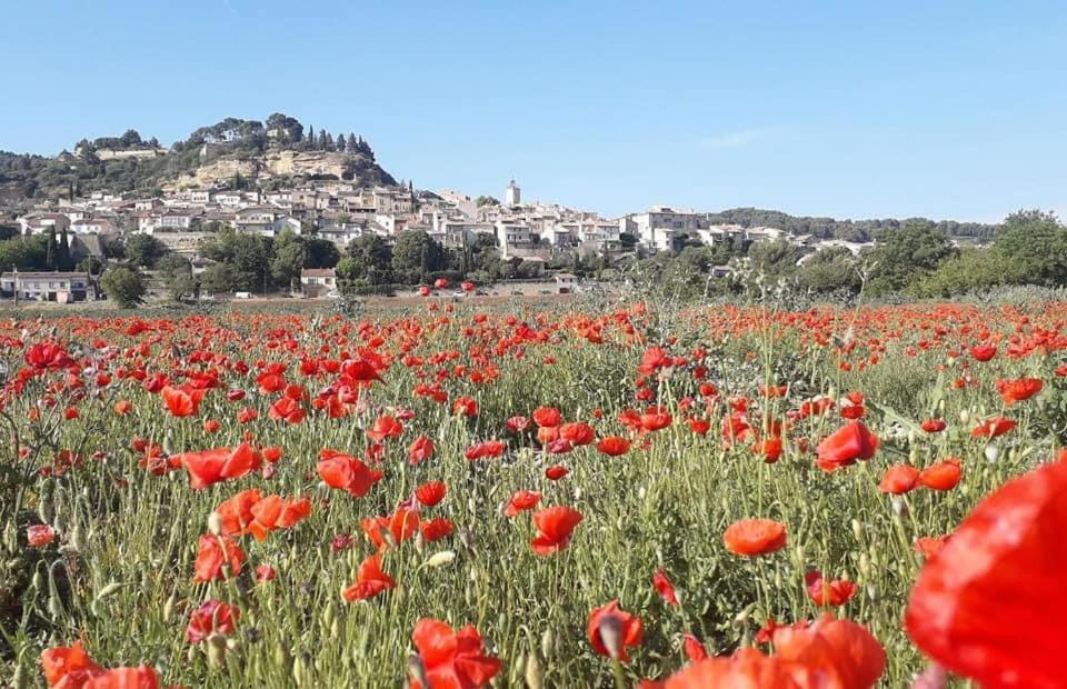 L'Amanderaie Piscine Privee A Cote De Lourmarin Luberon Leilighet Cadenet Eksteriør bilde
