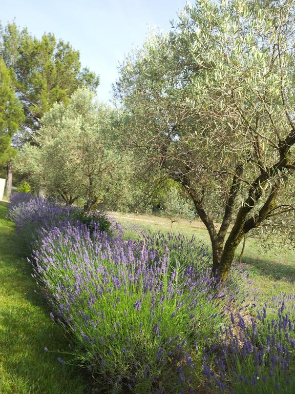 L'Amanderaie Piscine Privee A Cote De Lourmarin Luberon Leilighet Cadenet Rom bilde